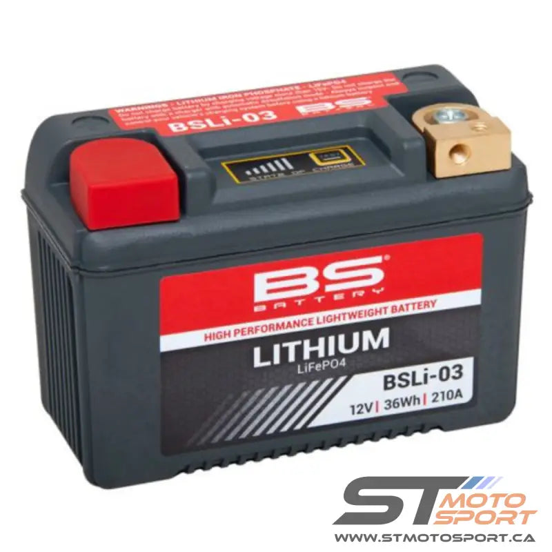 Batterie au lithium Bs Battery, légère et performante pour divers appareils