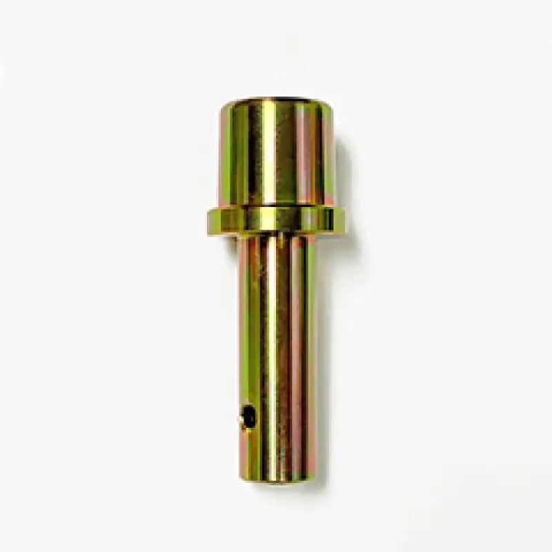 Épinglette en métal doré avec col et trou pour le Pitbull - Front Stand Pin
